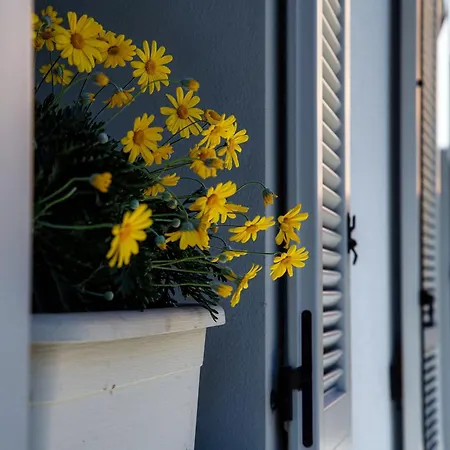 La Terrazza - Downtown - Terrace And Jacuzzi كومو