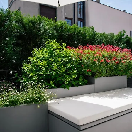 La Terrazza - Private Jacuzzi In Downtown 公寓