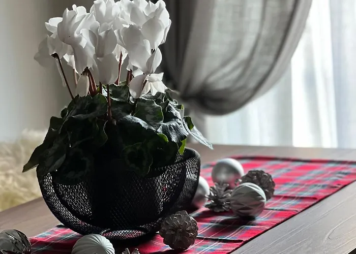 La Terrazza - Downtown - Terrace And Jacuzzi Apartment *