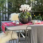 公寓 La Terrazza - Downtown - Terrace And Jacuzzi *