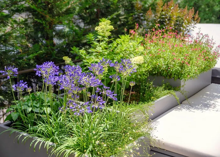 Apartment La Terrazza - Downtown - Terrace And Jacuzzi *