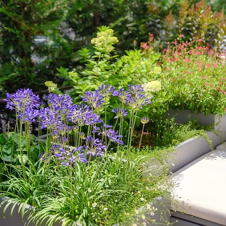 아파트 La Terrazza - Downtown - Terrace And Jacuzzi *